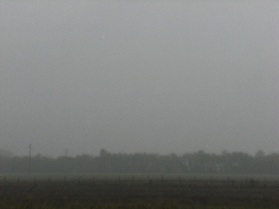 Campagna di Novi ,  02 Novembre 2009, ore 16,12