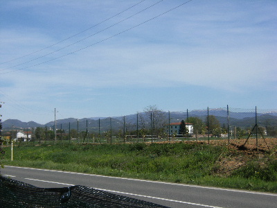 Campagna di Novi ,  08 Aprile 2011 ore 15,35