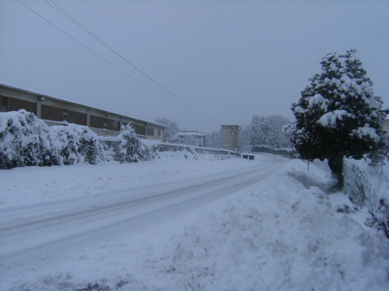 Campagna di Novi , 08 Gennaio 2010, ore  09,01