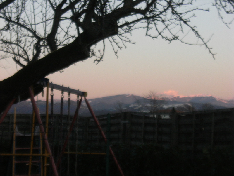  Campagna di Novi, 26  Febbraio 2010, ore 18,00