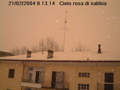 Novi, 21 febbraio 200,4  ore 8,13