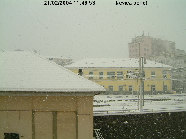 Nevica bene