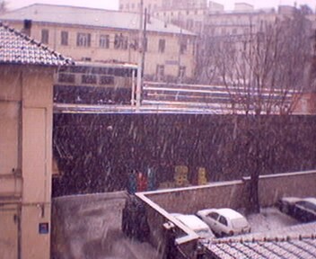 novi, 6 febbraio 2002, ore 9,40