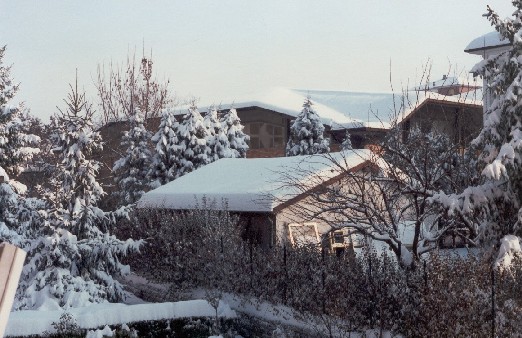 Novi, 14 Gennaio 1984